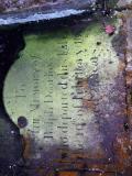 image of grave number 702657